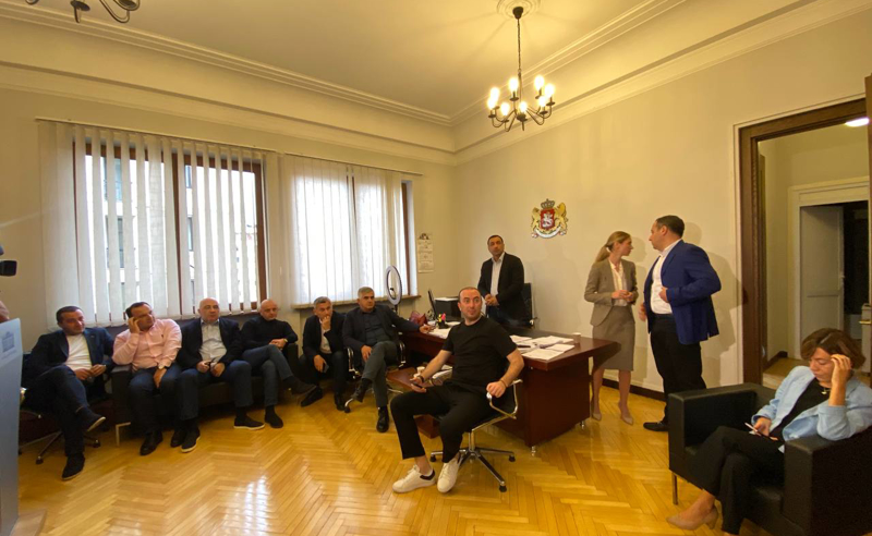 პრეზინდეტის იმპიჩმენტს ენმ და "სტრატეგია აღმაშენებელი" ენმ-ს ფრაქცის ოთახიდან აკვირდებიან