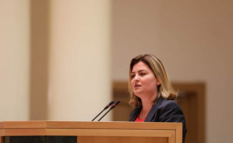 კონსტიტუციის მცველები კი არა, კონსტიტუციით მოვაჭრეები ხართ - ნაცვლიშვილი "ოცნებას"