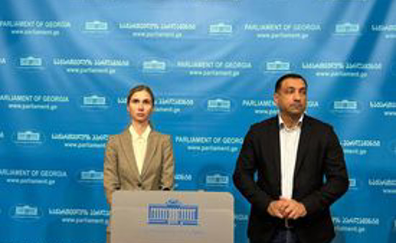 ორმოქმედებიანი პოლიტიკური ცირკი ივანიშვილის მარცხით დასრულდა - ბოკუჩავა იმპიჩმენტზე