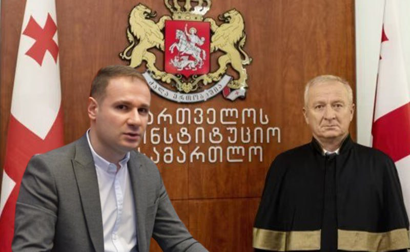 ჩემი საბჭოს წევრად დანიშვნა პროფესიულ კვალიფიკაციას უკავშირდება და არა ნათესაურ კავშირებს - კიკილაშვილი
