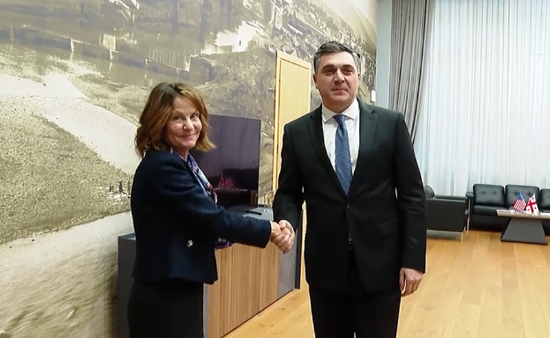 ილია დარჩიაშვილი ამერიკის ახალ ელჩს შეხვდა