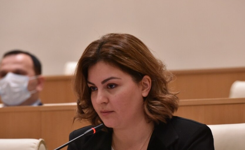 შემთხვევით, თქვენც ჩვენსავით ტელევიზიით ხომ არ გაიგეთ, პრემიერი ჩინეთთან სტრატეგიულ პარტნიორობას რომ აწერდა ხელს? - ნაცვლიშვილი 