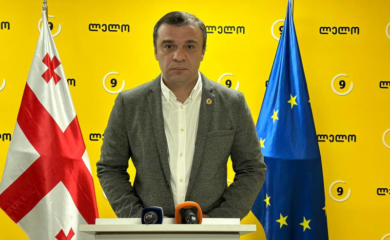 გამოძიების მიჩქმალვის უფლებას არ მოგცემთ, გამოაქვეყნეთ შედეგები - "ლელო" შოვის ტრაგედიაზე 