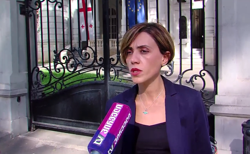 პრეზიდენტის პოლიტიკურ და საარჩევნო გეგმებთან დაკავშირებით შეხვედრაზე საუბარი არ ყოფილა - წითლიძე