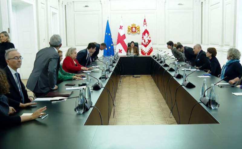 პრეზიდენტი ზურაბიშვილი გეგმავს, რომ იყოს ძალიან აქტიური კანდიდატის სტატუსის მხარდასაჭერად - ჰერჩინსკი