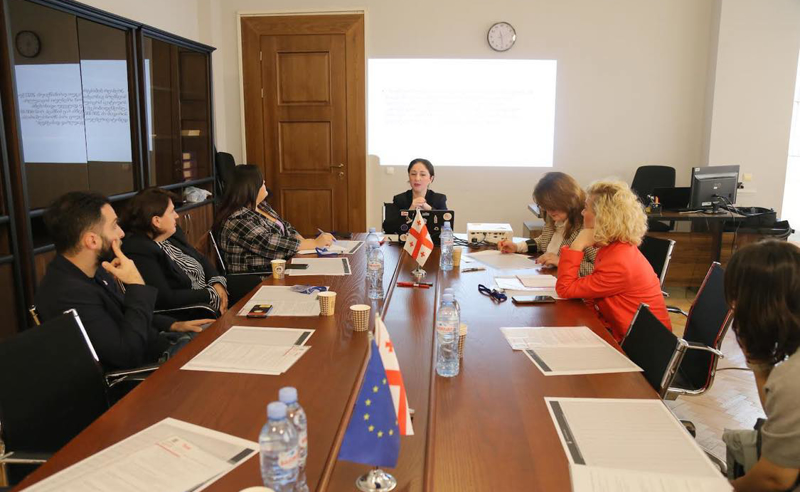თეონა ჭალიძემ სოციალური პროგრამების საარჩევნო მიზნებისთვის შესაძლო გამოყენების საკითხებზე მესამე სექტორთან შეხვედრა გამართა