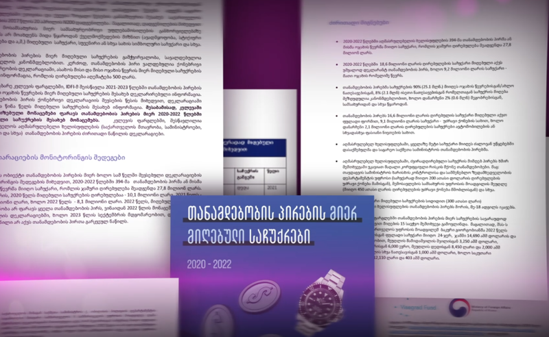 კანონში შავი ხვრელი არსებობს, რომელსაც ღარიბაშვილის ხელისუფლების ჩინოსნები სათავისოდ იყენებენ - ოპოზიცია კორუფციაზე