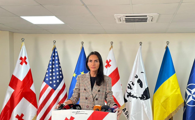 გავასწოროთ სამიზნეები, დავინახოთ, რომ ერთმანეთთან გასაყოფი არაფერი გვაქვს - სოფო ჯაფარიძე