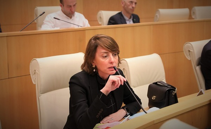 მარტო ხათუნა სამნიძის სიტყვებში არ არის პრობლემა, პრობლემა ოპოზიციაშია - დეკანოიძე