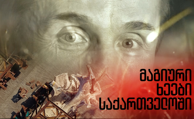 ექსკლუზივი: მაგიური ხეები სიცოცხლის გასახანგრძლივებლად - რით ერთობა ოლიგარქი