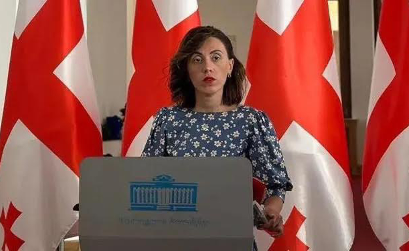 მედიასთან დაკავშირებული ცვლილებები ზეწოლას უკავშირდება - ანა წითლიძე