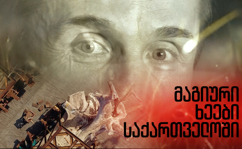 სისტემა ოლიგარქის სამსახურში  - როგორ გამოიყენეს სახელმწიფო რესურსი ბოროტად ერთ ღამეში? 