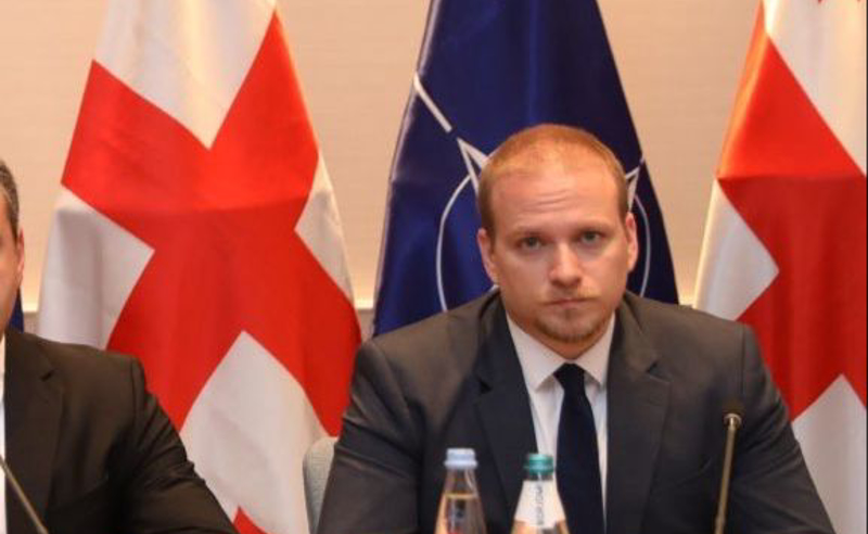 ჩინეთის საკითხმა ნათელი გახადა დასავლეთში, რომ საქართველოს მთავრობა აწარმოებს ანტიდასავლურ კამპანიას - ალექსანდრე კრევო-ასათიანი
