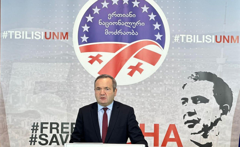 "აუცილებელია საქართველოში პოლიტიკური დევნის დასრულება და სააკაშვილის გათავისუფლება" - ჭიაბერაშვილის მადლობა ზბიგნევ რაუს