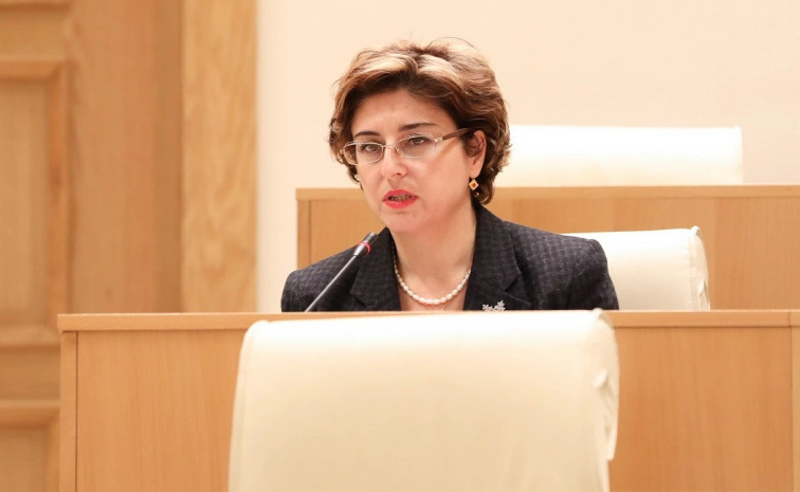 ევროპული მომავლის დასაცავად გამართული აქციების შემდეგ, პარტნიორები ხაზს უსვამენ, რომ ვიმსახურებთ კანდიდატის სტატუსს - სამნიძე