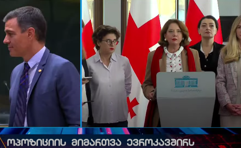 მიანიჭეთ საქართველოს კანდიდატის სტატუსი - საპარლამენტო ოპოზიციის მიმართვა ევროკომისიის პრეზიდენტს