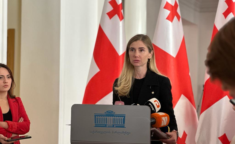 გონივრული იქნებოდა, მელიამ საქმიანობა არა ენმ-იდან, არამედ სხვა პლატფორმიდან გააგრძელოს - ბოკუჩავა