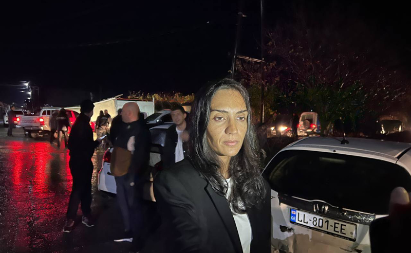 დაუცველები ვართ, უსუსური ხელისუფლების ხელში - სოფო ჯაფარიძე საერთაშორისო თანამეგობრობას რეაგირებისკენ მოუწოდებს