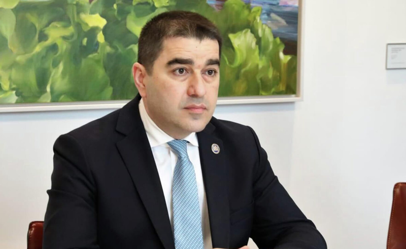 პარტიას, რომელიც ღალატზეა დაფუძნებული, წარმატების იმედი არ უნდა ჰქონდეს - პაპუაშვილი გახარიაზე