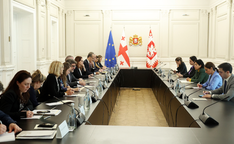 პრეზიდენტი აღმოსავლეთ პარტნიორობის საკითხებში ევროკავშირისა და წევრი ქვეყნების სპეციალურ წარმომადგენლებს შეხვდა