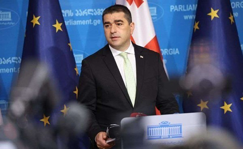 ჩანს, რომ ზოგიერთ ევროპარლამენტარსა და ევროკომისიას შორის არის პოლარიზაცია აზრებს შორის - პაპუაშვილი