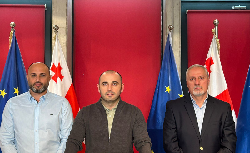 ლევან ხაბეიშვილმა ენმ-ს თბილისის ორგანიზაციის თავმჯდომარე და აღმასრულებელი მდივანი წარადგინა