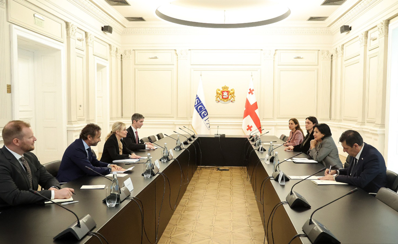 საქართველოს პრეზიდენტი ეუთოს საპარლამენტო ასამბლეის დელეგაციას შეხვდა