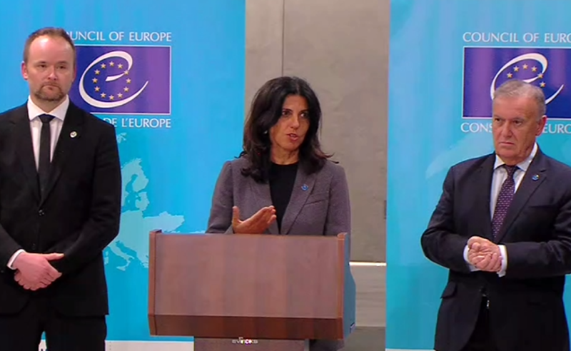 რეკომენდაციები სავალდებულო არ არის, მაგრამ წითელ ხაზებს ვავლებთ, რაც სავალდებულო სტანდარტებზეა დაფუძნებული - ვენეციის კომისიის გენერალური მდივანი