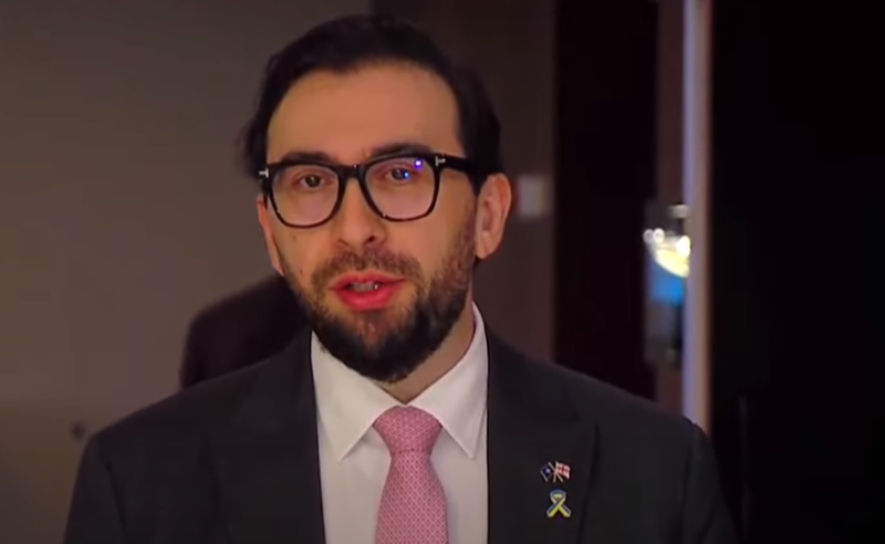 საქართველოს მთავრობა პასუხისმგებელია, ქვეყნის შიდა უსაფრთხოება უზრუნველყოს - NATO-ს წარმომადგენელი