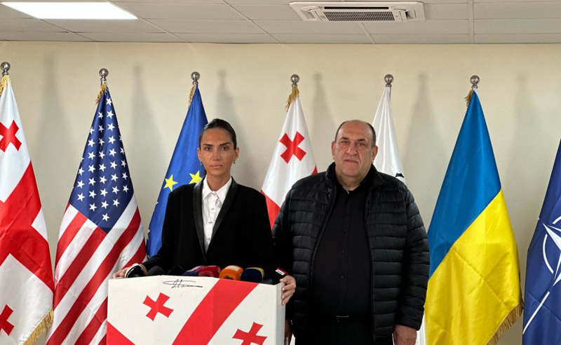 "ჩვენი პარტნიორების ძალისხმევით, ვაკეთებთ იმას რაც "ოცნებას" უნდა გაეკეთებინა" - სოფო ჯაფარიძე