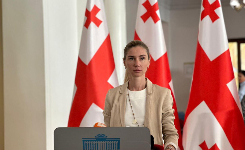 ეროვნულ ინტერესებს საქართველოში იცავს ოპოზიცია და ქვეყნის გარეთ საქართველოს მეგობრები - თინა ბოკუჩავა