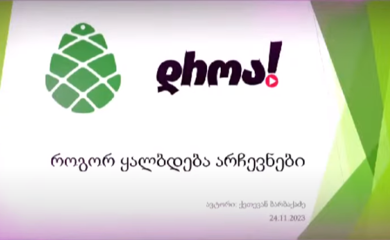 როგორ აპირებს "ოცნება" არჩევნების მოგებას - ჯაფარიძე-ხოშტარიას ერთობა კვლევას აქვეყნებს