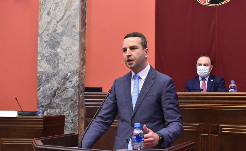 არასათანადო მოპყრობასა და ძალადობაში 62 სამართალდამცავია მხილებული - კაციტაძე