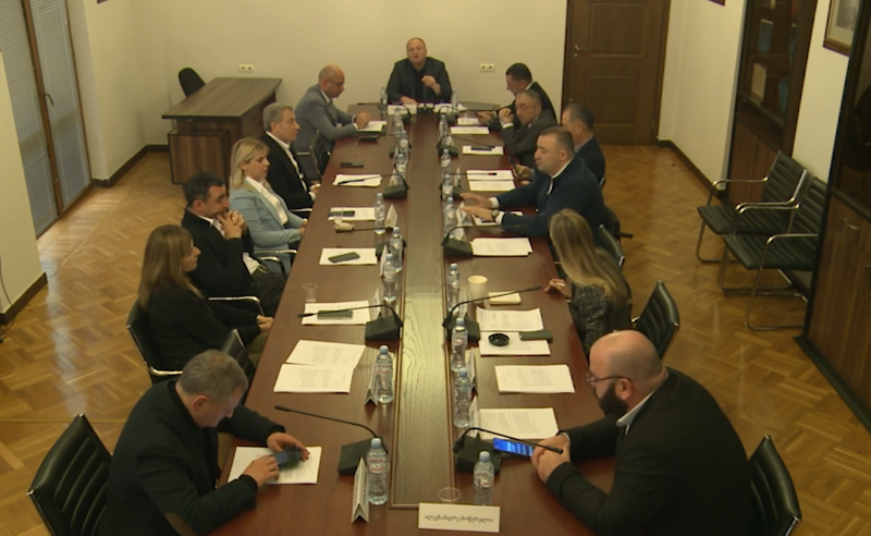 "ბოდიში ღიმილით არ არის ბოდიში" - კამათი და დაპირისპირება თავდაცვის კომიტეტზე