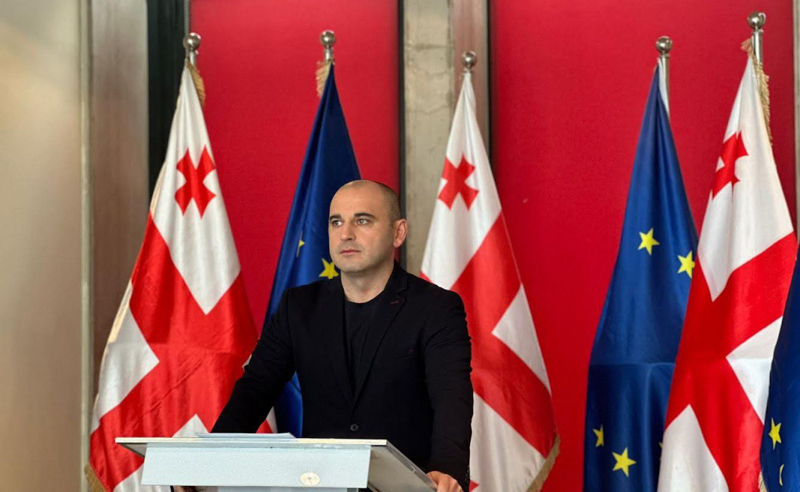 გადადგეს ლევან ხაბეიშვილი! - დაპირისპირების ახალი რაუნდი ენმ-ში