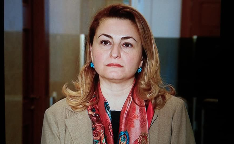 კოალიციური მმართველობის პირობებში შესაძლებელი გახდება სისტემების შეცვლა - სოფო ხორგუანი