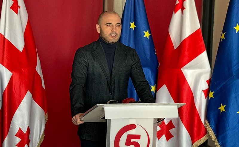 გადადგეს ხაბეიშვილი, პარტია გადავიდვიდეს საგანგებო რეჟიმზე - ენმ-ის 15 წევრის განცხადება