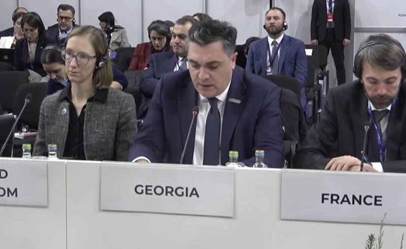"გინტურის მკვლელობა ეთნიკური ქართველების მიმართ ძალადობის კიდევ ერთი აქტია" - რა თქვა დარჩიაშვილმა ეუთოს მინისტერიალზე