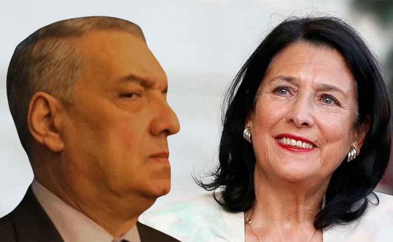 უსაფუძვლო და ქვეყნისთვის დამაზიანებელი - ვოლსკი პრეზიდენტის განცხადებაზე