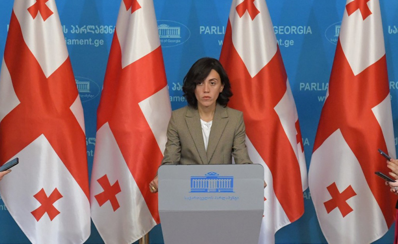გიორგი გახარიას ძალიან ბევრ კითხვაზე აქვს პასუხი გასაცემი - ანა წითლიძე