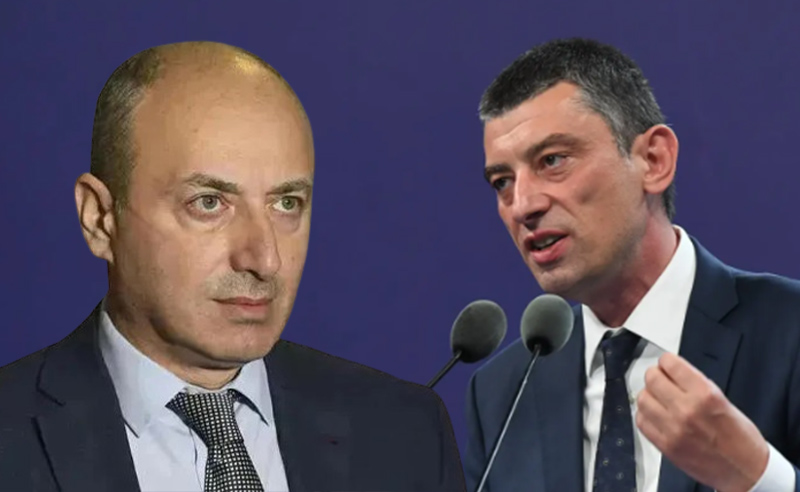 "მტკიცებულებები გვჭირდება"- ხალხის ძალა გახარიას შავ სიაზე