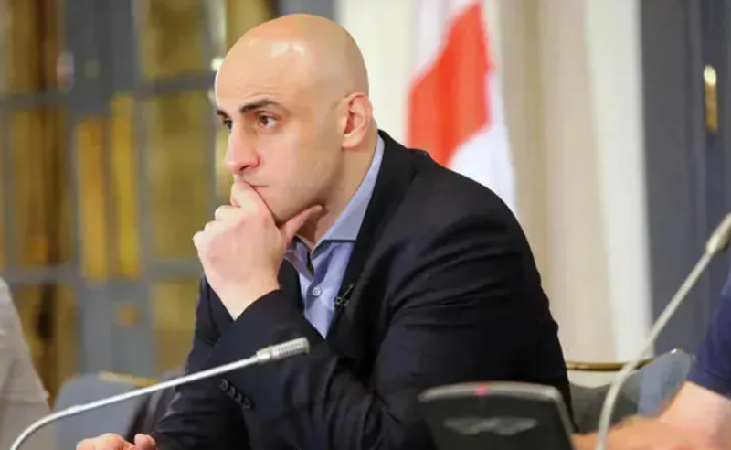 გამოვრიცხავ რომელიმე სხვა პოლიტიკურ პარტიაში ბრძოლის გაგრძელებას - მელია