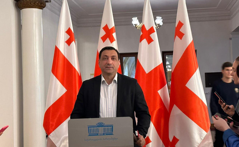 ასეთ დესტრუქციულ ქმედებებს არანაირი ელექტორალური გავლენა არ ექნება - ბეჟაშვილი მელიას წასვლაზე