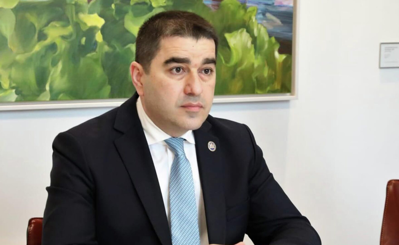 რადიკალური ოპოზიცია, რამდენიმე „ენჯეო“ დაკავებულია სოფლის მაშენებლების მიდგომით - პაპუაშვილი ევროპის მარშზე