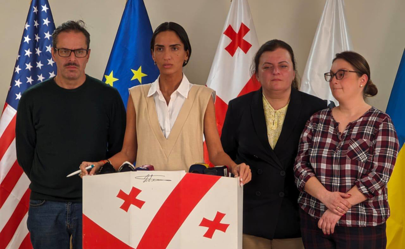 სისტემის მიერ დევნილი მასწავლებლების უფლებების დასაცავად ბოლომდე ვიბრძოლებ! - სოფო ჯაფარიძე