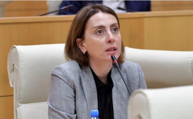 დეკანოიძე: არცერთი პოლიტიკური პარტია არ საუბრობს იმ პრობლემებზე, რომელიც აქვს ხალხს - ეს არის ფასების ზრდა, ემიგრაცია, უმუშევრობა