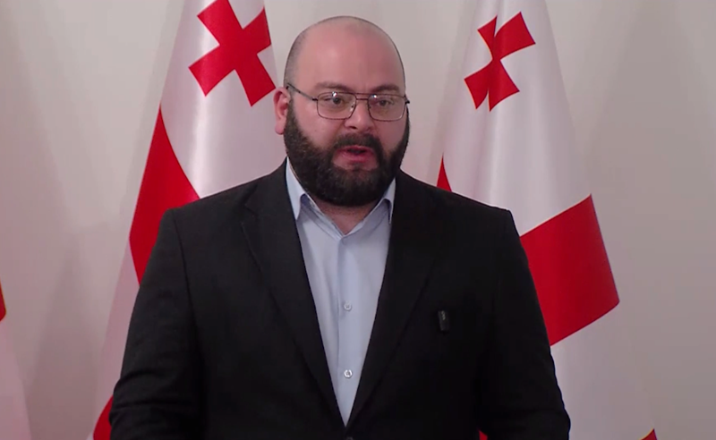 "საზოგადოება უყურებს ხელისუფლების სირაქლემას პოზიციას" - ლილუაშვილი