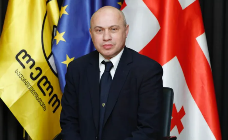 DRG მეთოდის შემოღება სამშობიაროების დახურვას და თეთრ ხალათებზე „დიდი ჯიბეების“ დაკერებას გამოიწვევს - სურგულაძე
