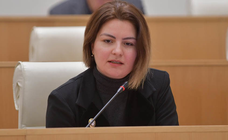 აბა, გაბედეთ და კიდევ შემოიტანეთ რუსული კანონი, ვნახოთ, რა მოხდება! - ნაცვლიშვილი "ოცნებას"