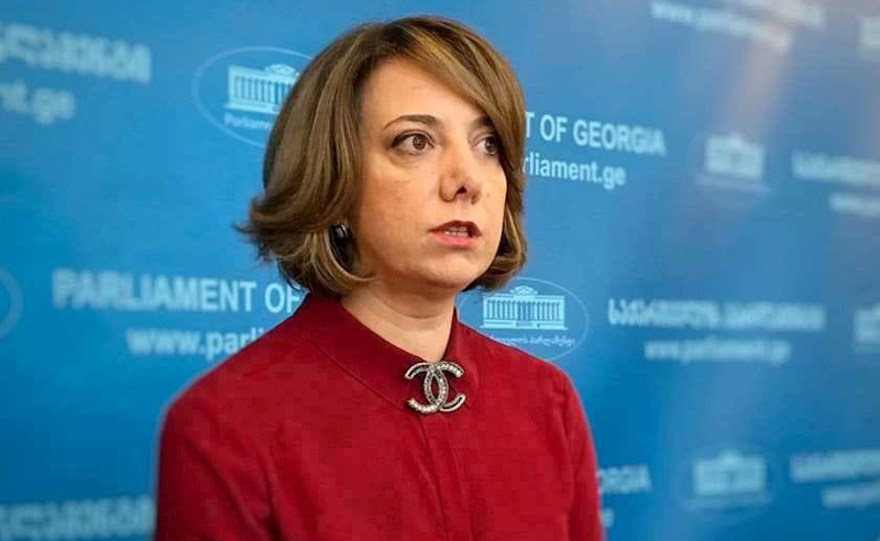 ზურაბიშვილი და საპარლამენტო არჩევნები - სალომე სამადაშვილის პოზიცია ცნობილია